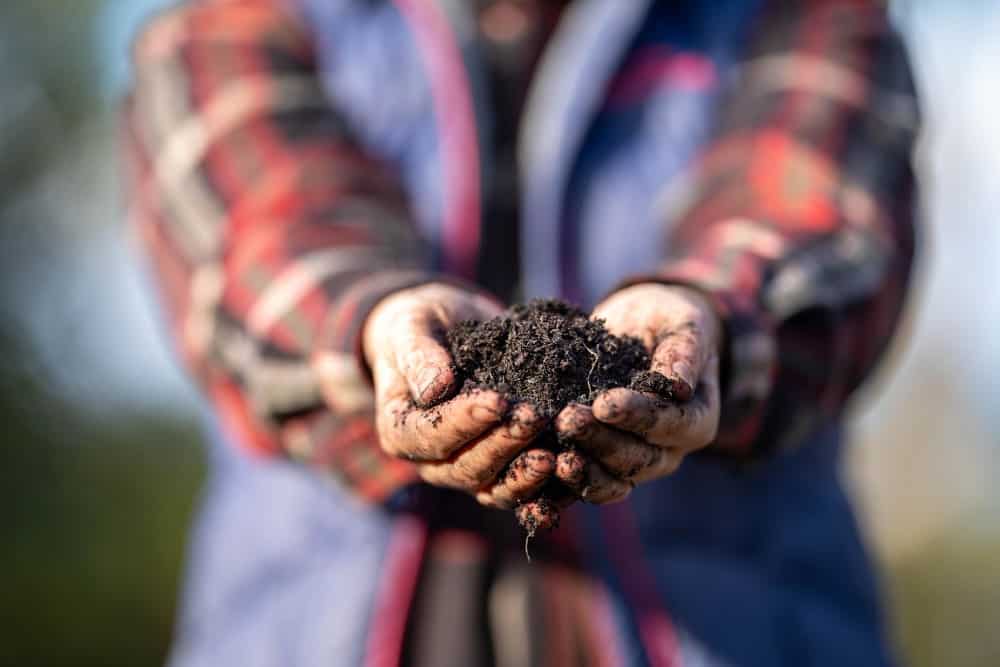 agricultor permacultura
