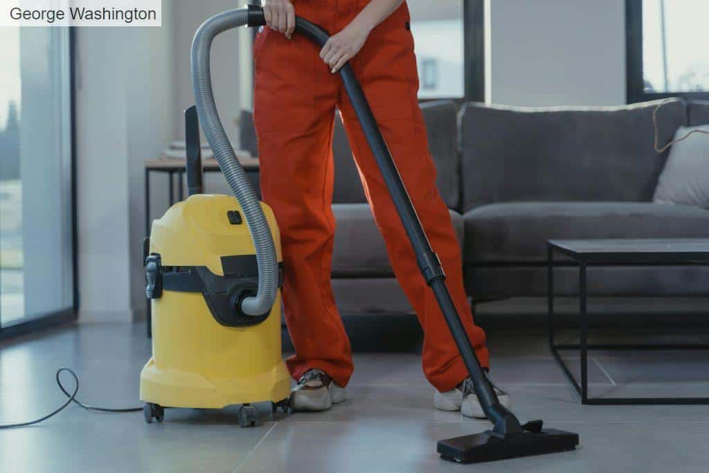 Person Using a Vacuum