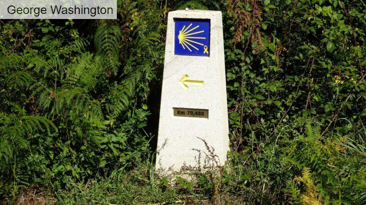 Descubre cómo vivir las mejores experiencias en el Camino de Santiago