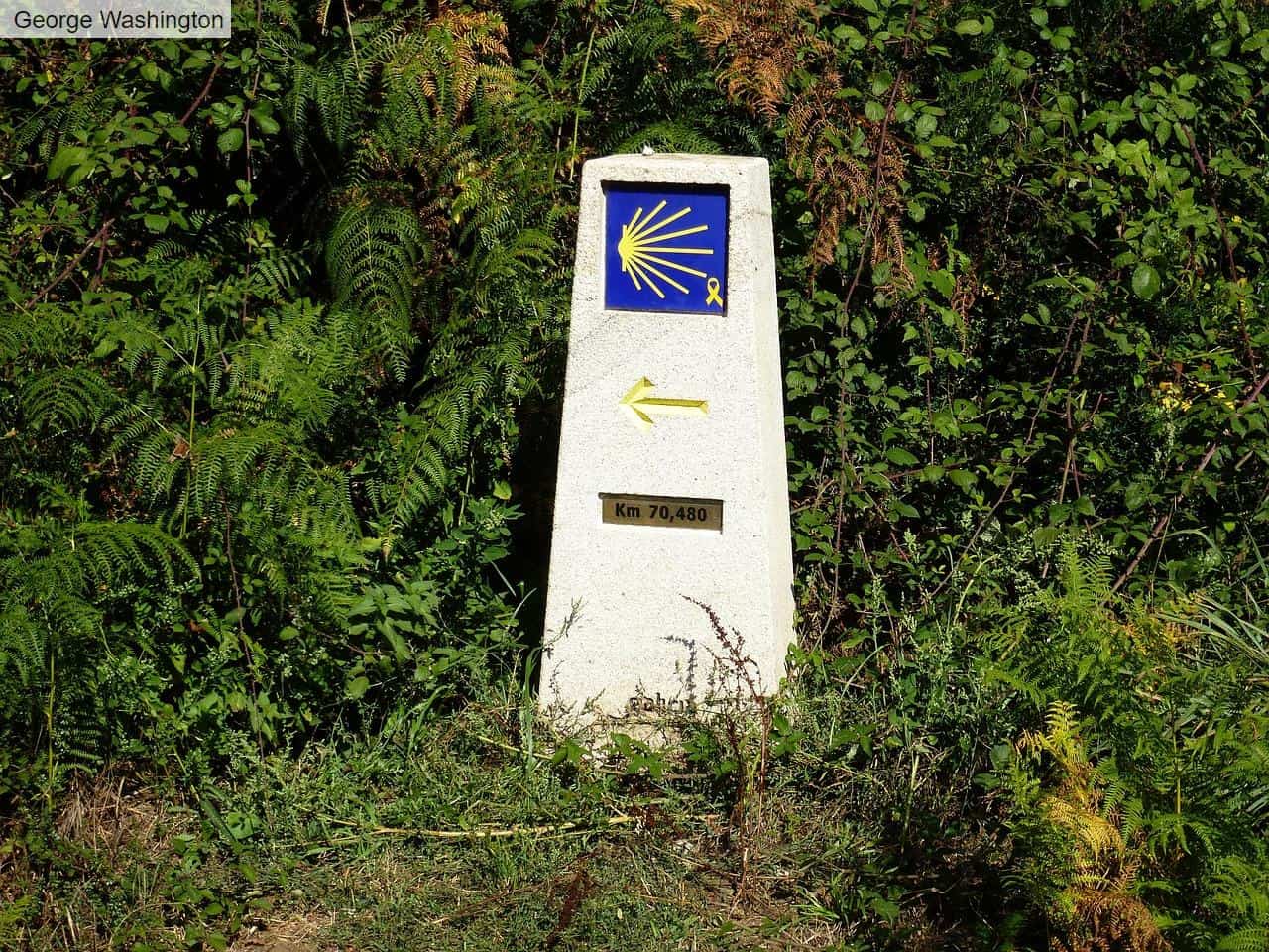 Descubre cómo vivir las mejores experiencias en el Camino de Santiago