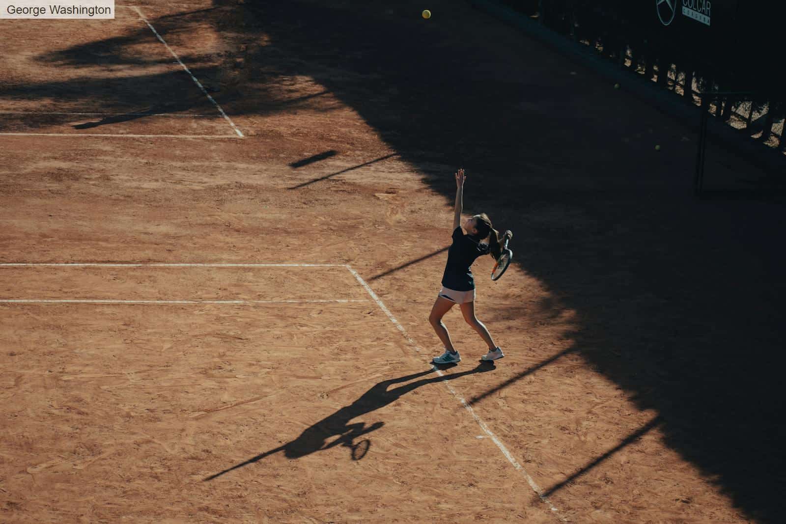 Tenis