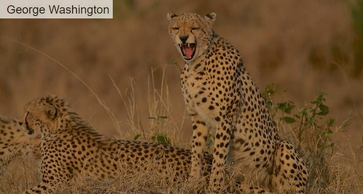 safaris kenia seguridad