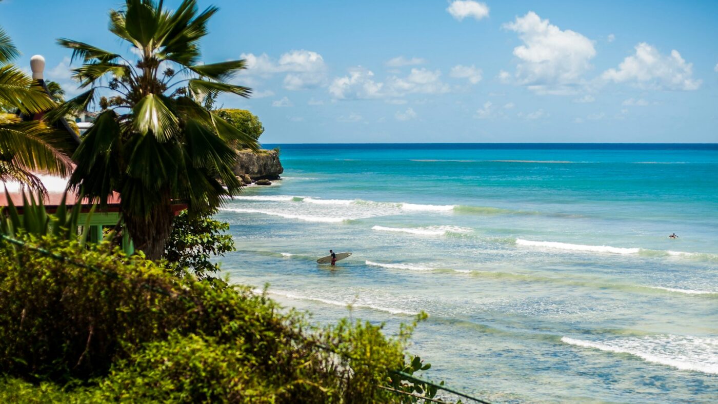 Playa con palmeras y mar en calma, uno de los paisajes que ver en Barbados